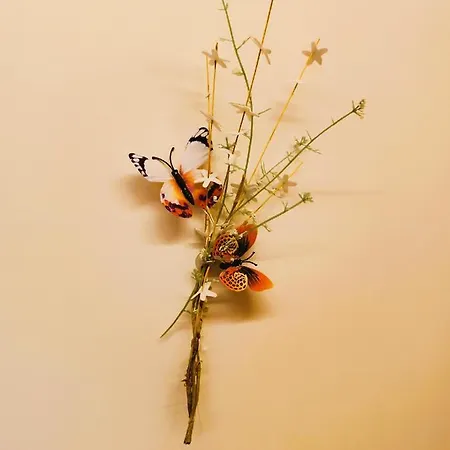 Duplex Playa De Rons Διαμέρισμα O Grove