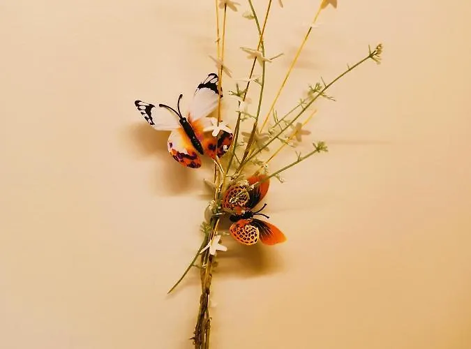 复式普雷亚德诺斯酒店 公寓 格罗韦