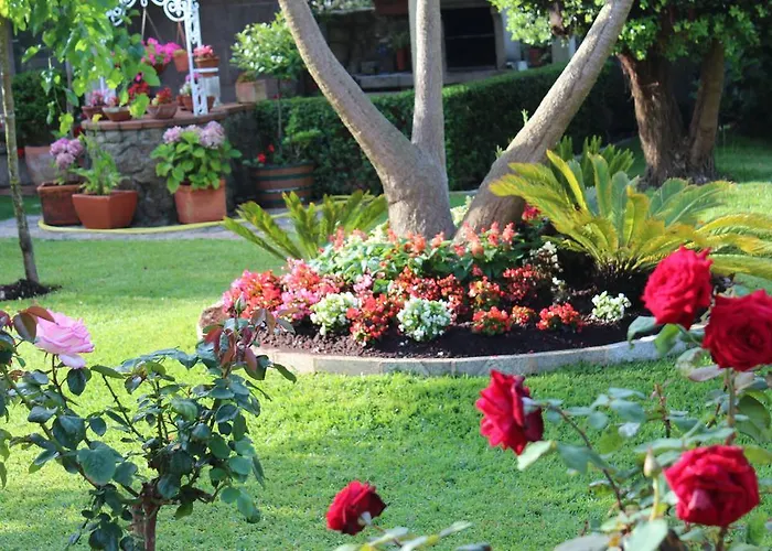 复式普雷亚德诺斯酒店 格罗韦